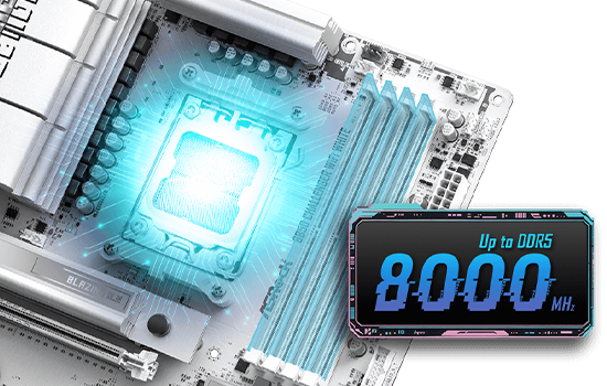 Z590